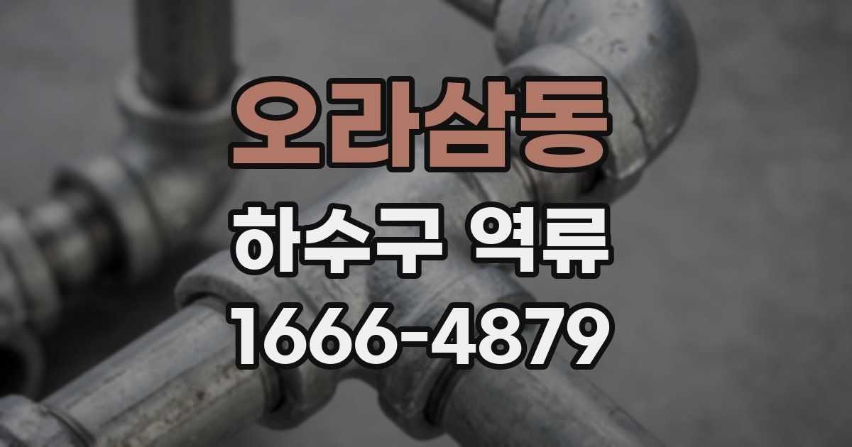 오라삼동 하수구 역류