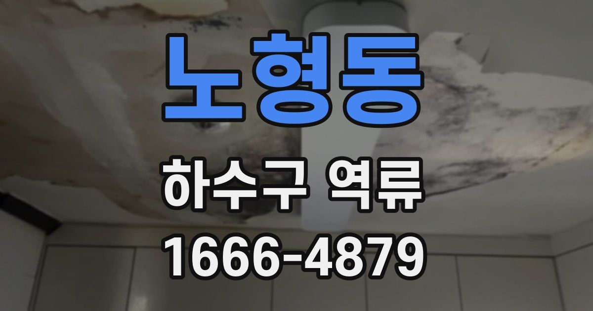 노형동 하수구 역류