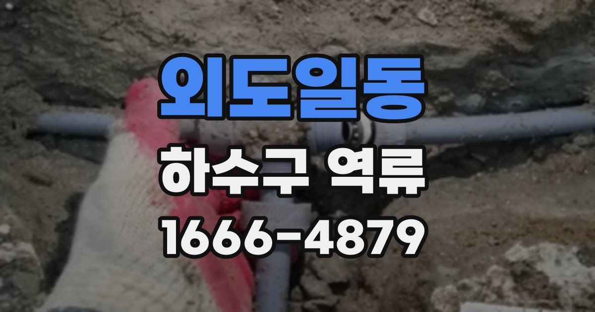 외도일동 하수구 역류