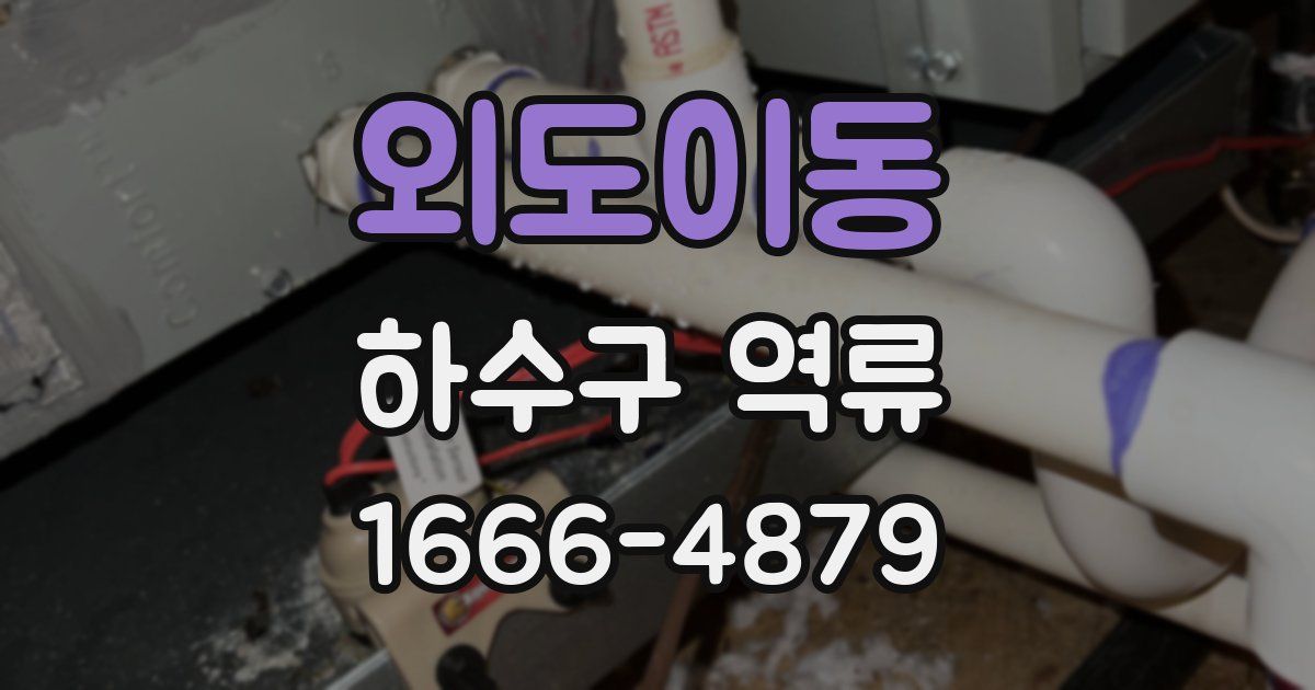 외도이동 하수구 역류