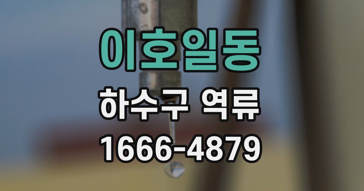 이호일동 하수구 역류