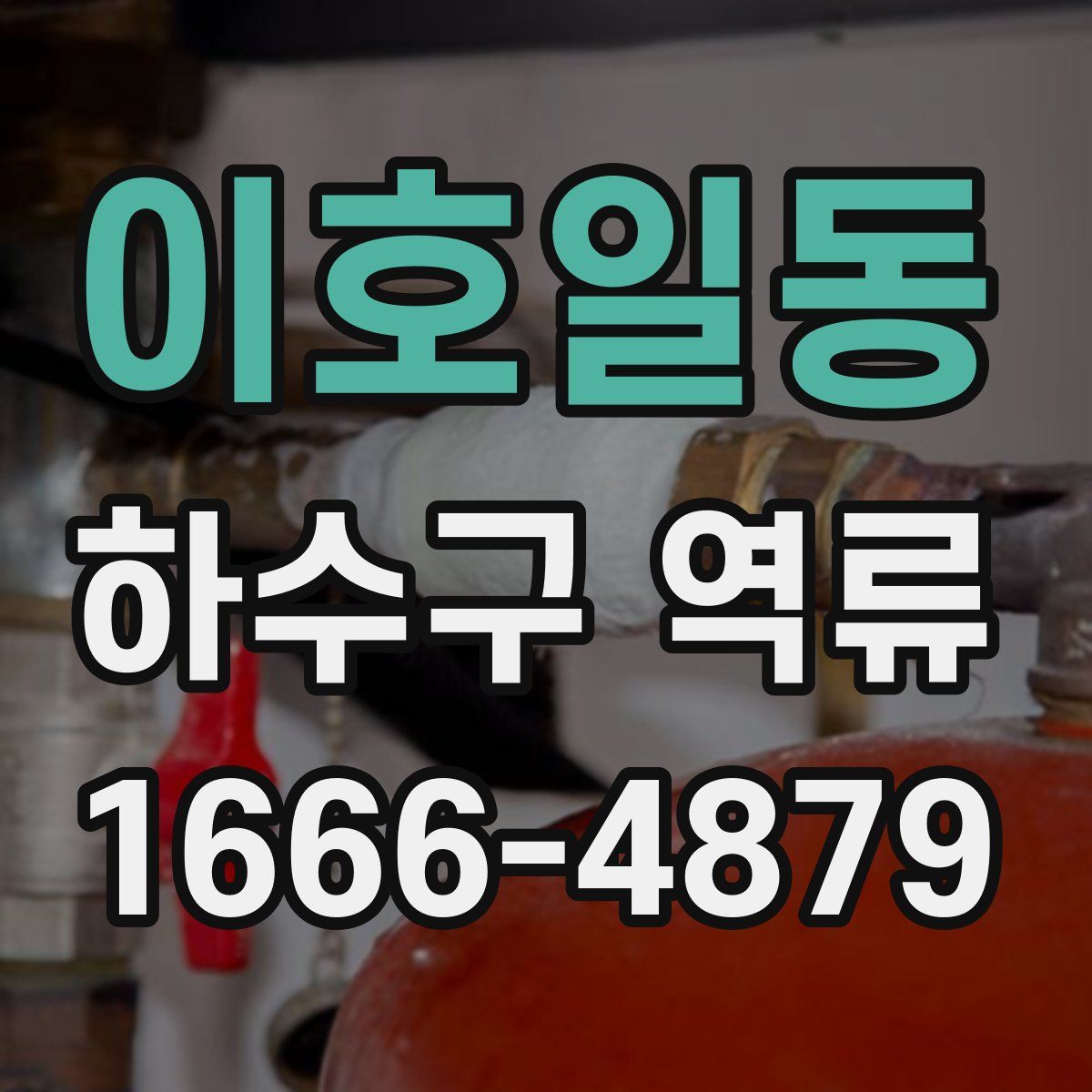 이호일동 하수구 역류