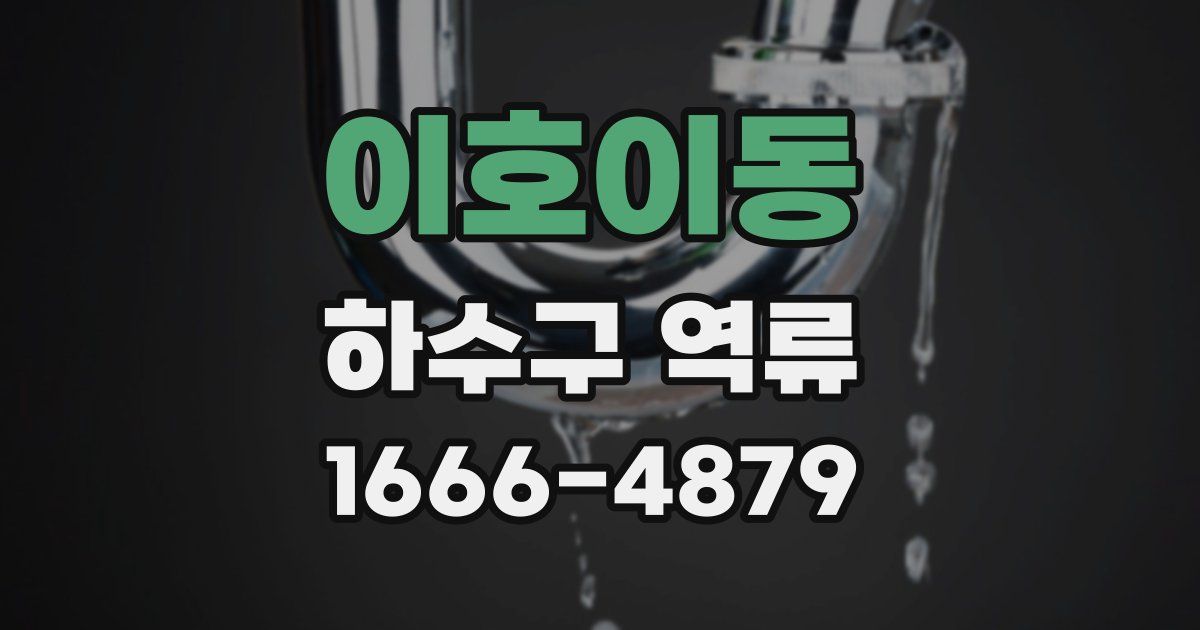 이호이동 하수구 역류