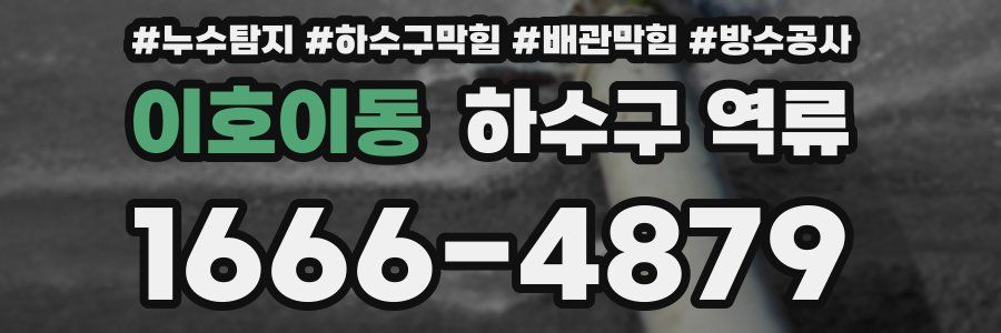 이호이동 하수구 역류