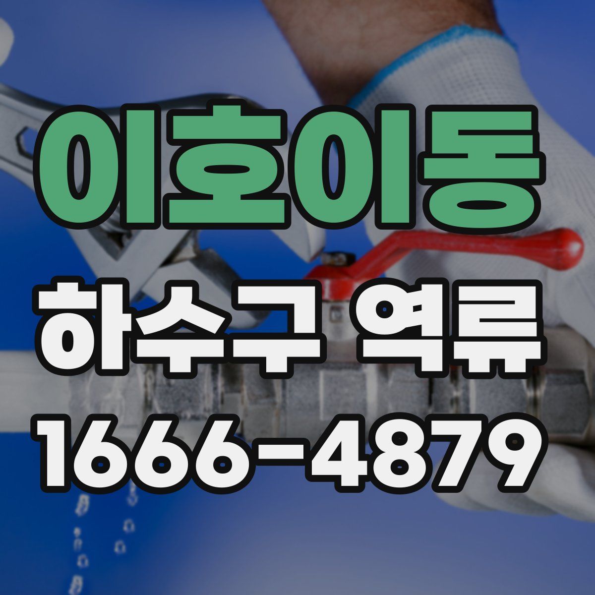 이호이동 하수구 역류