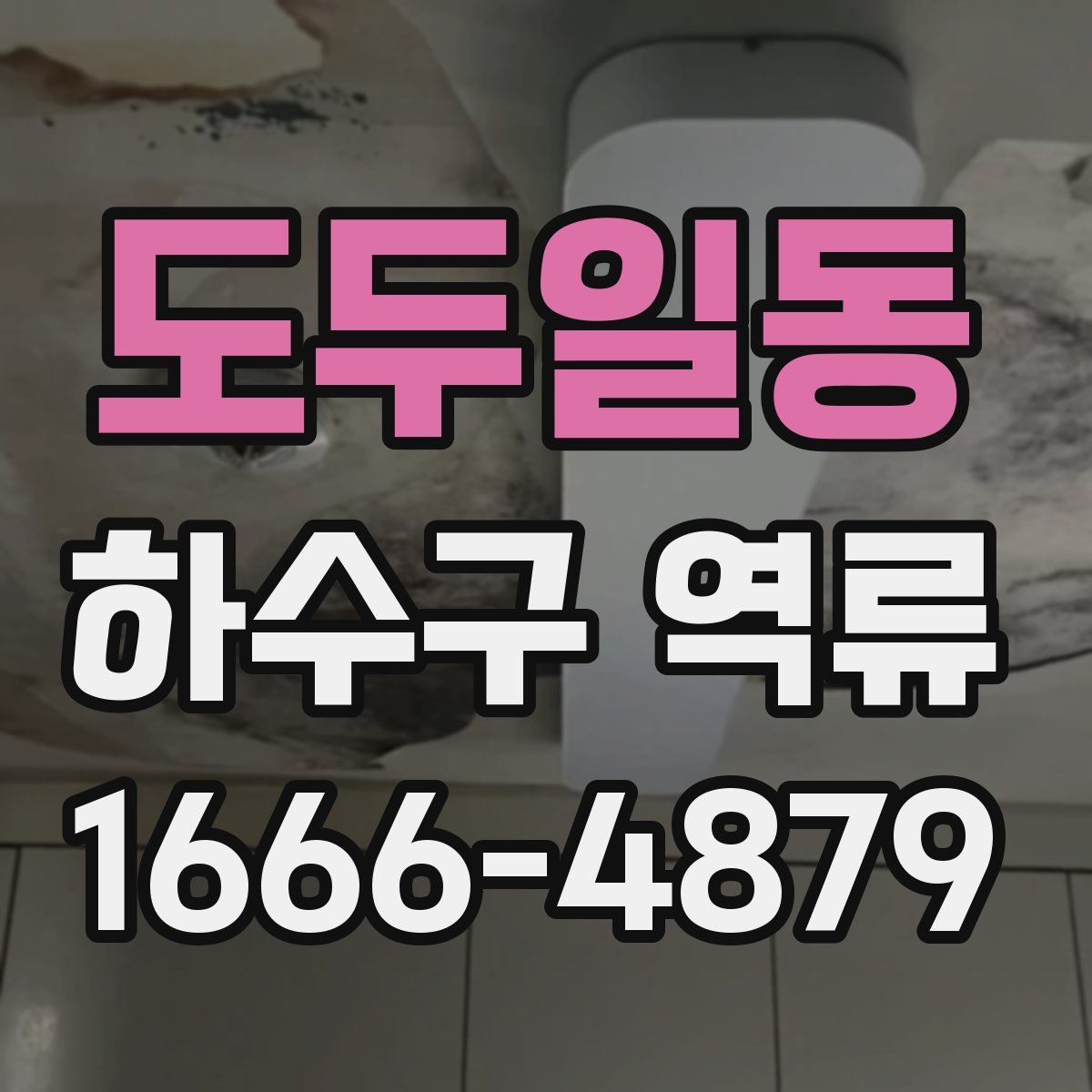 도두일동 하수구 역류