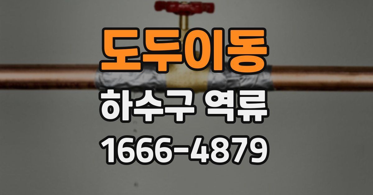 도두이동 하수구 역류