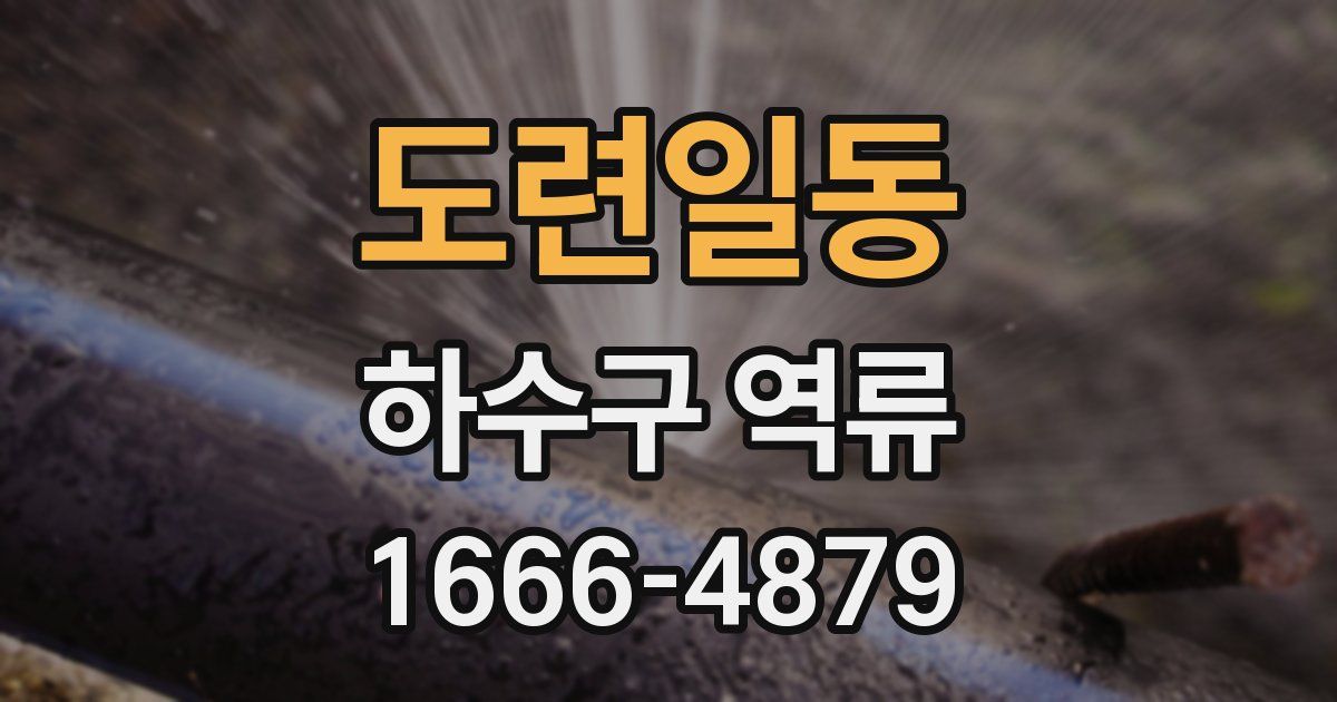 도련일동 하수구 역류