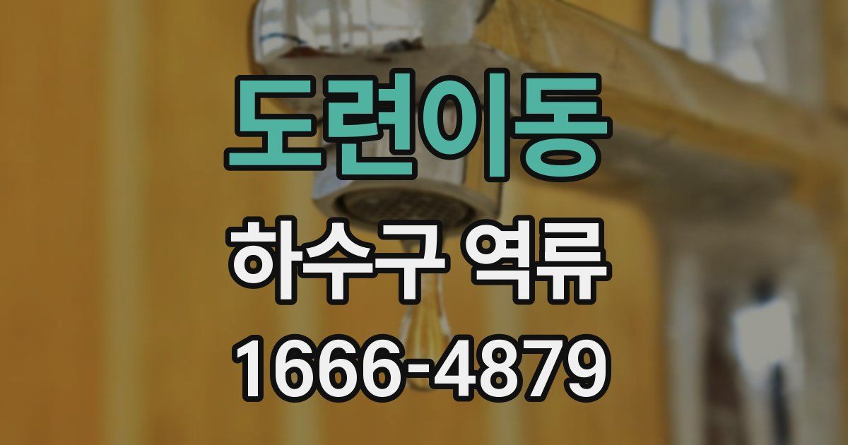 도련이동 하수구 역류