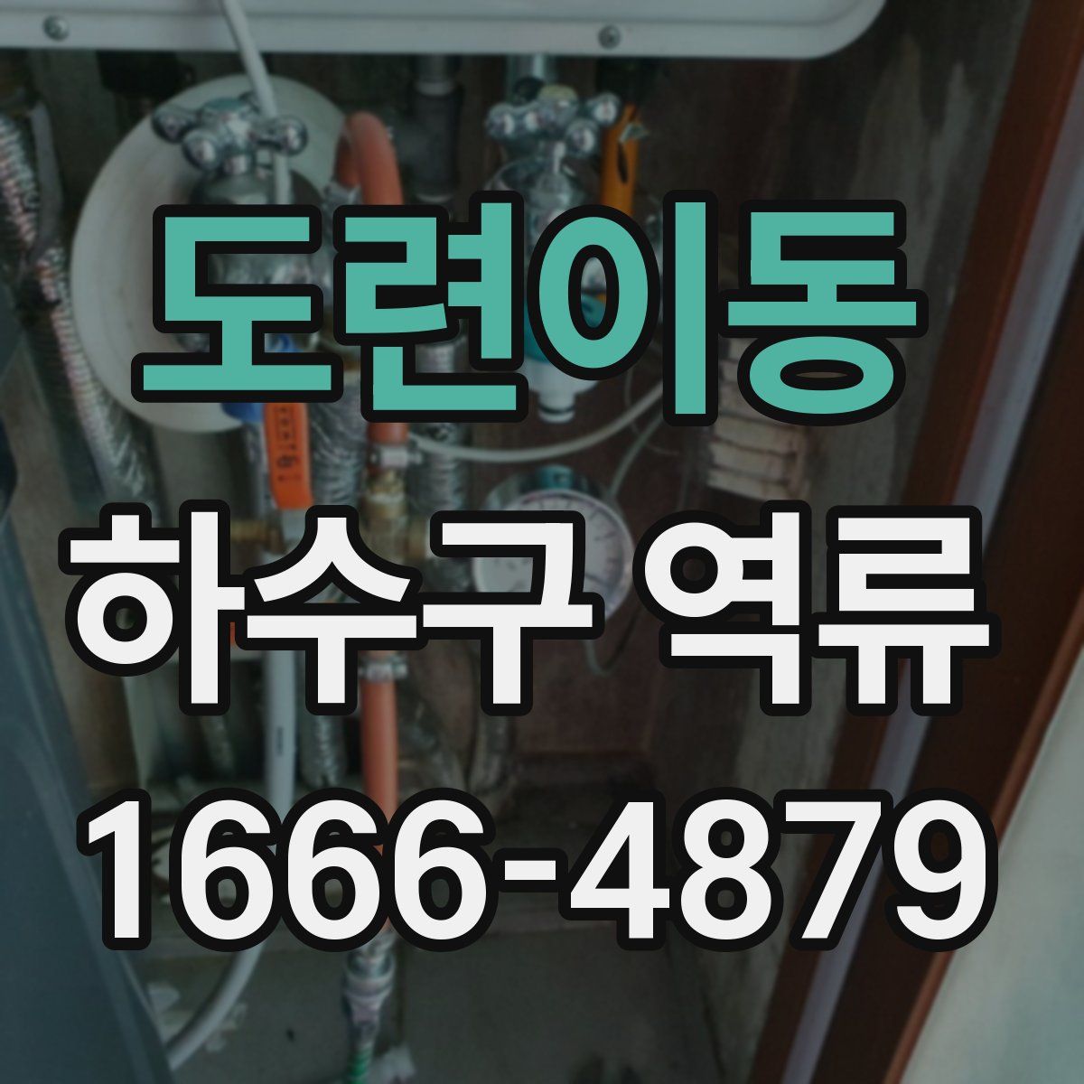 도련이동 하수구 역류