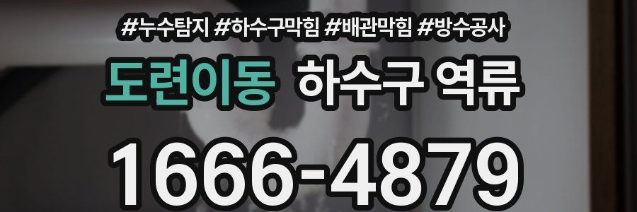 도련이동 하수구 역류