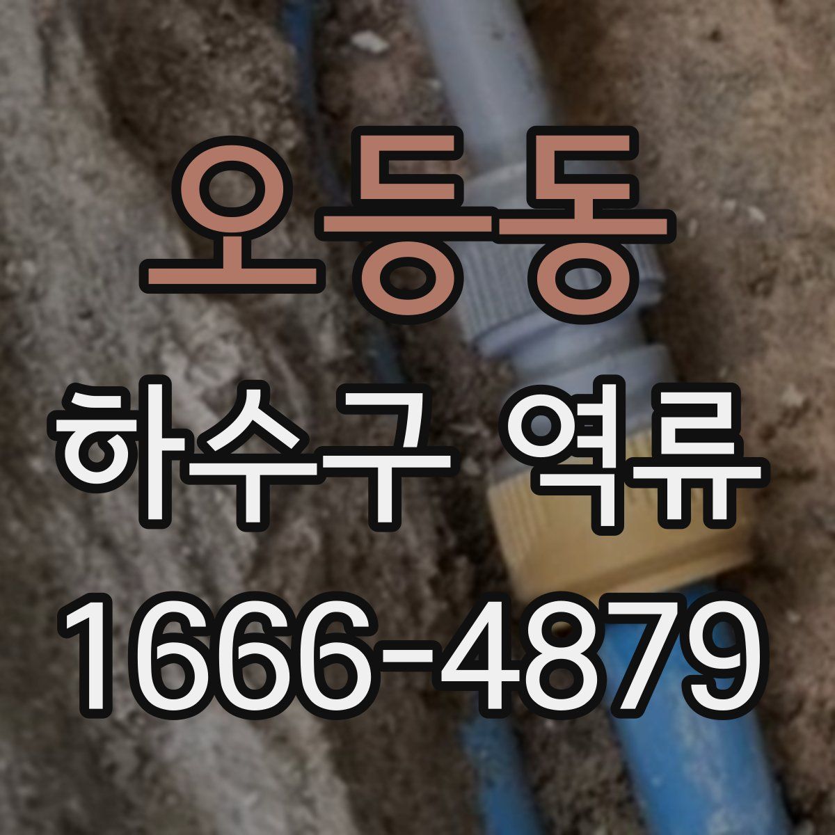 오등동 하수구 역류