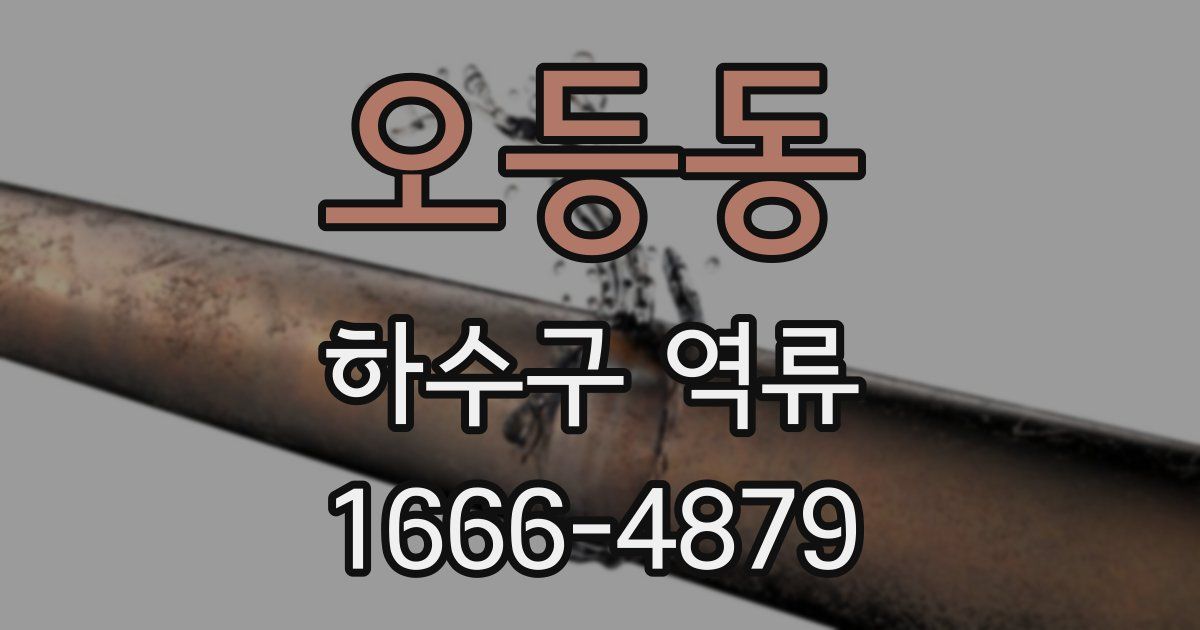 오등동 하수구 역류