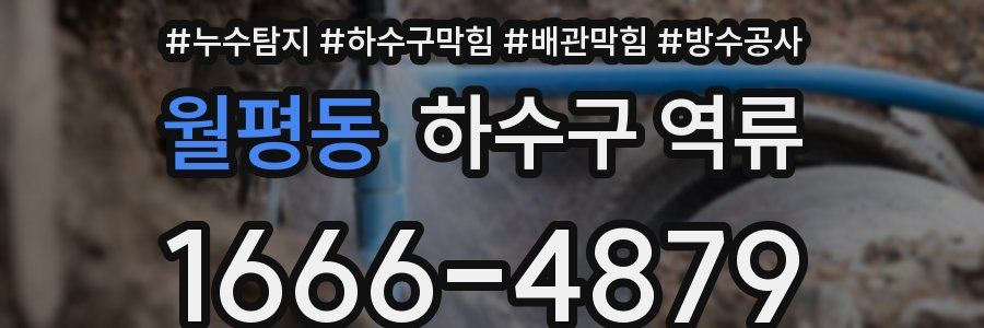월평동 하수구 역류