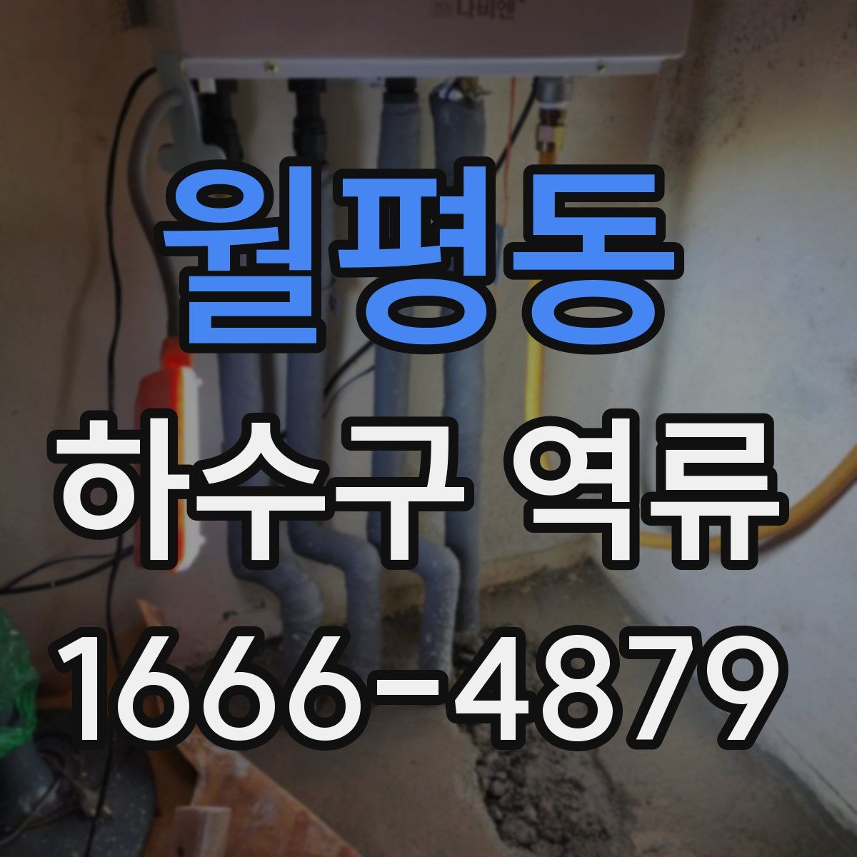 월평동 하수구 역류