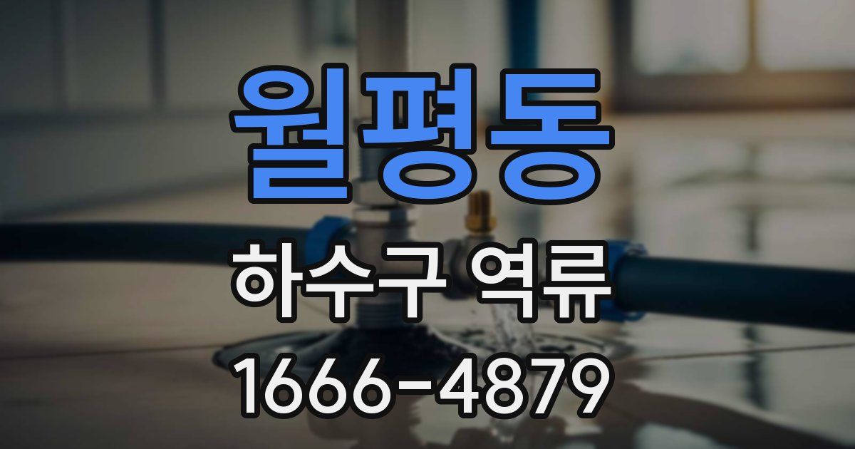 월평동 하수구 역류