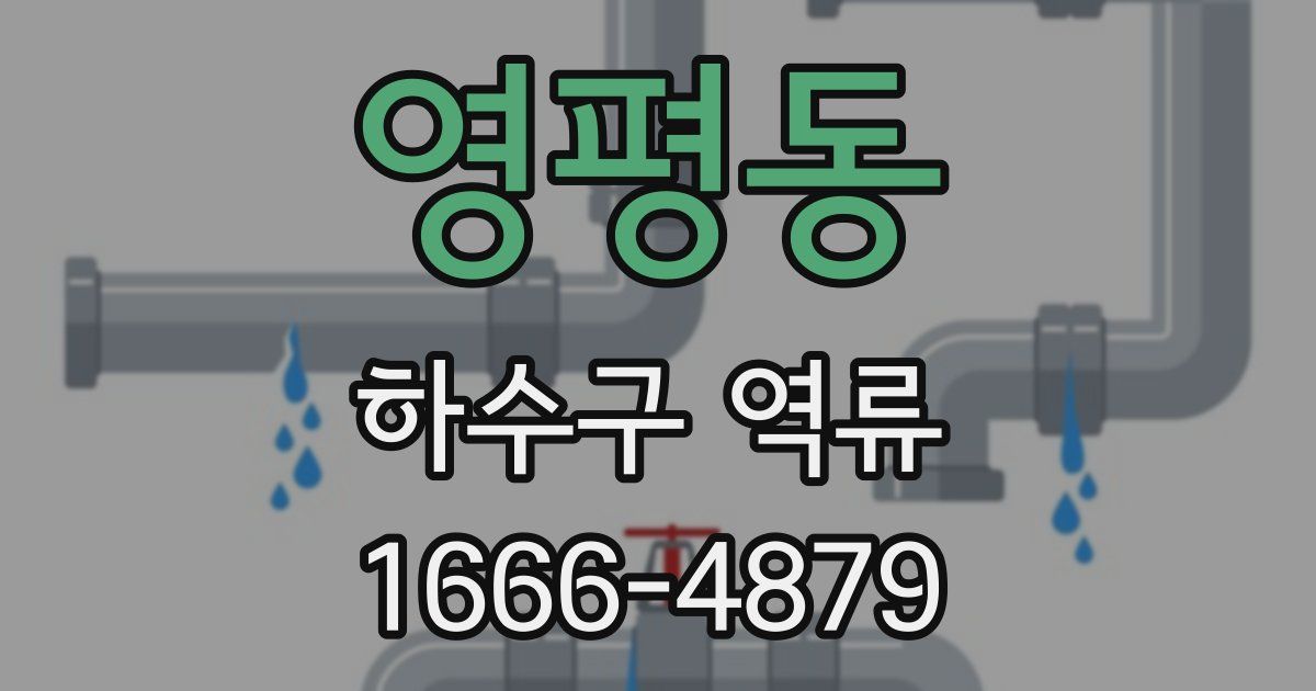 영평동 하수구 역류