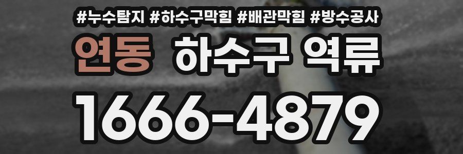 연동 하수구 역류