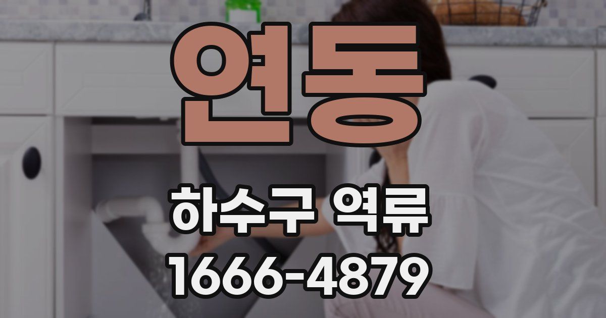 연동 하수구 역류