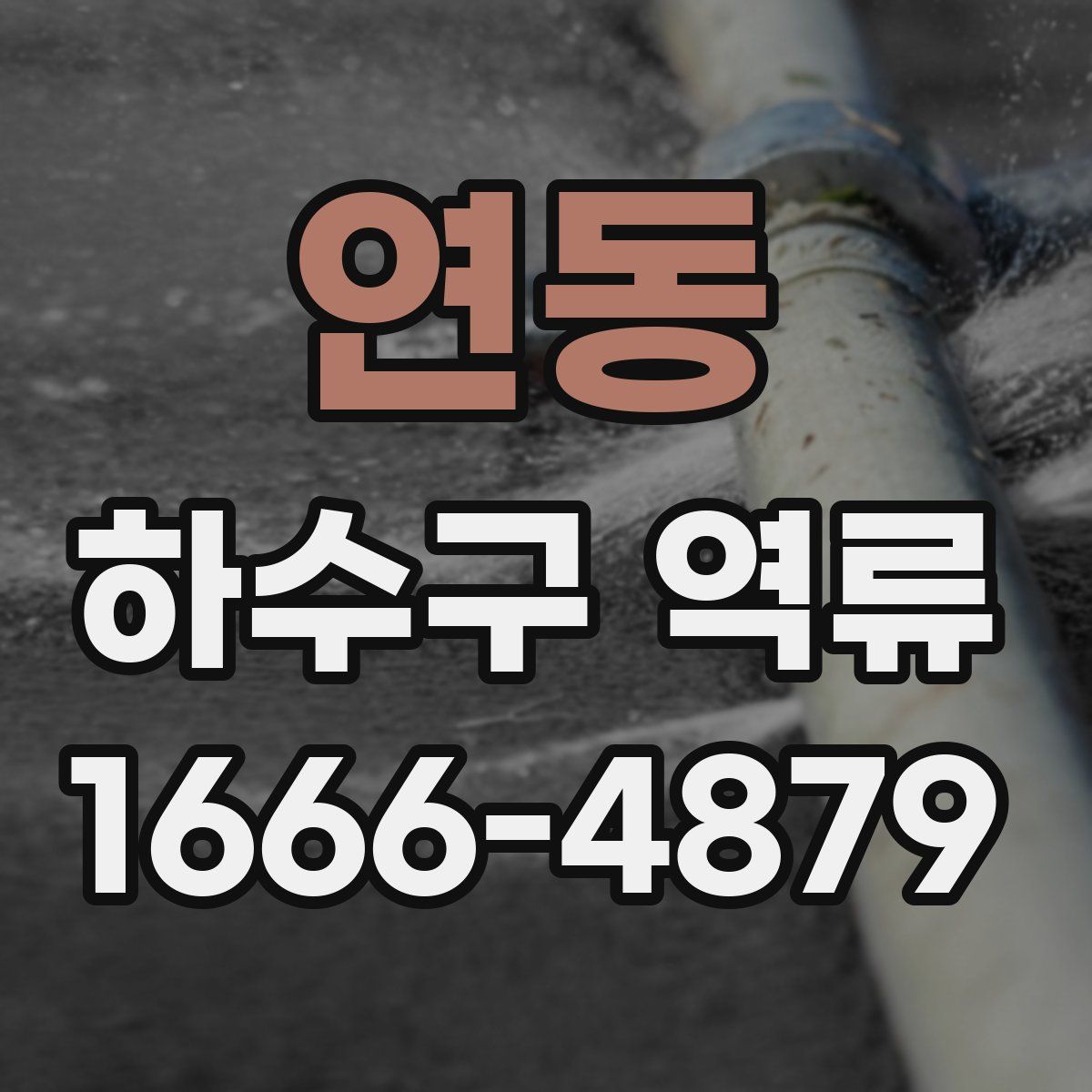 연동 하수구 역류