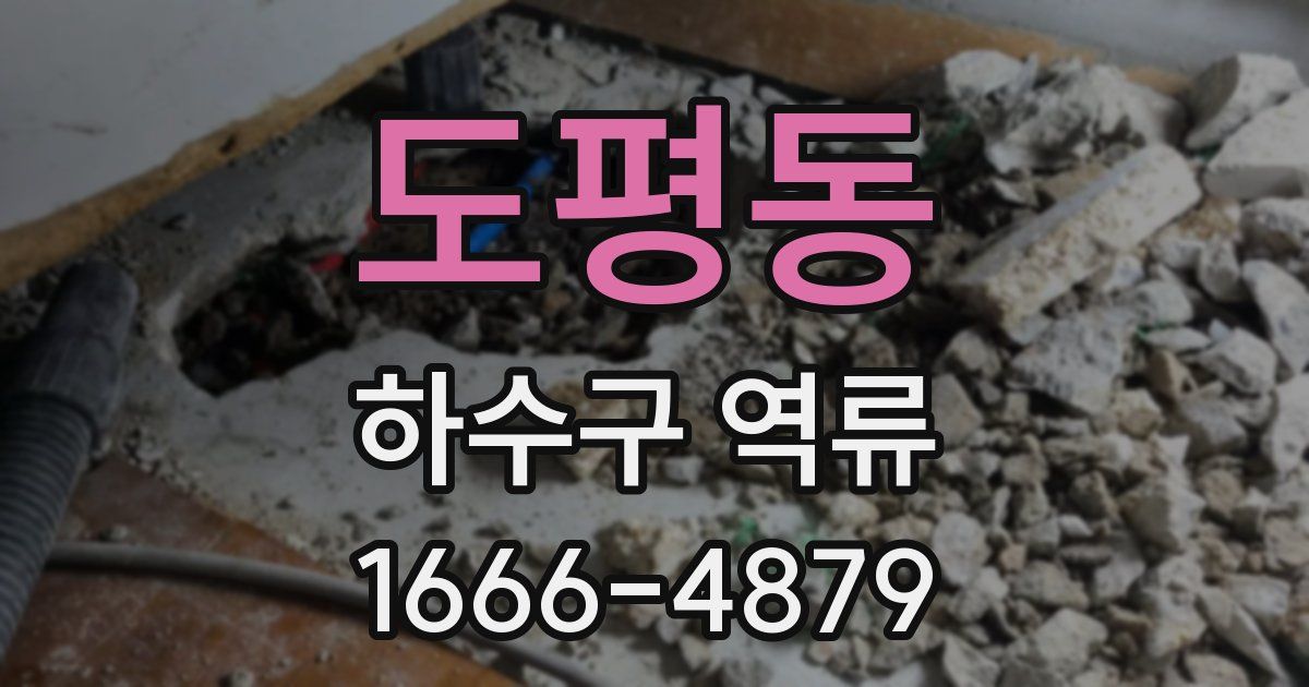 도평동 하수구 역류