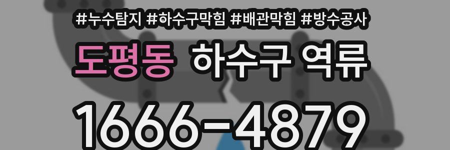 도평동 하수구 역류