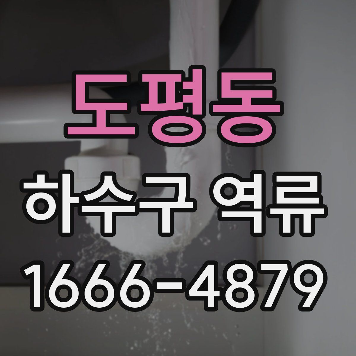 도평동 하수구 역류