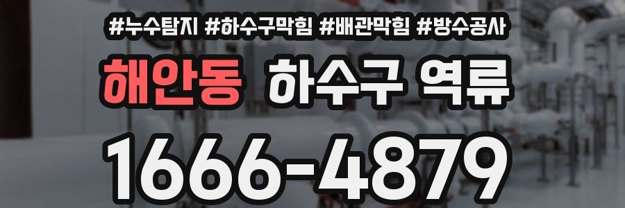 해안동 하수구 역류
