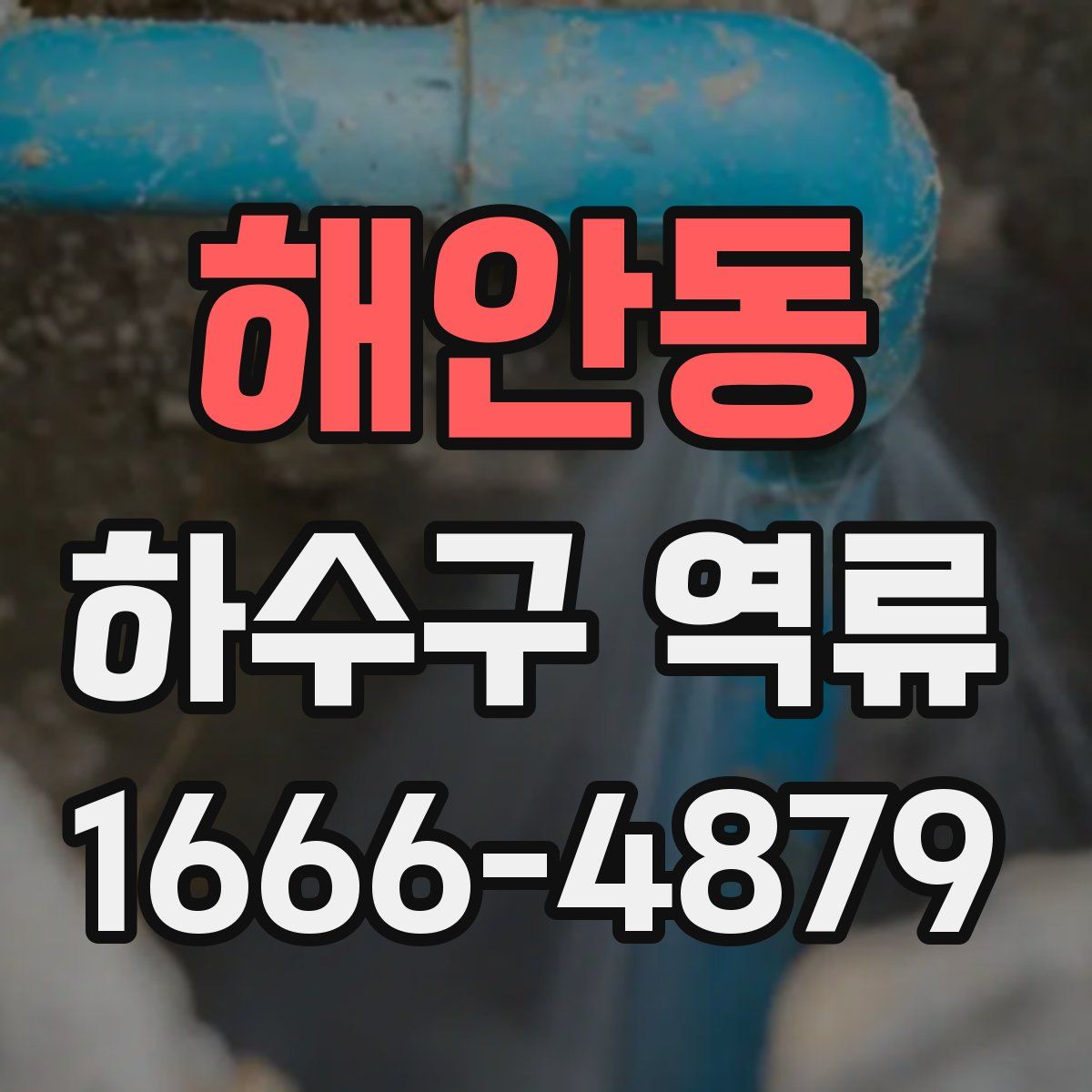 해안동 하수구 역류