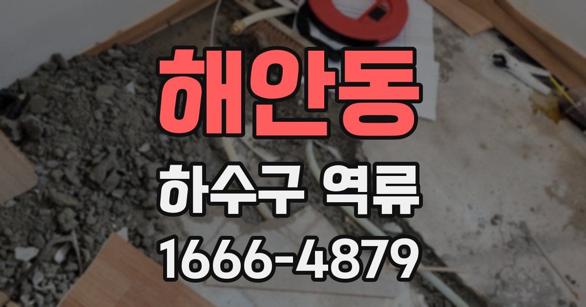 해안동 하수구 역류