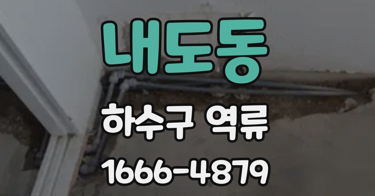 내도동 하수구 역류