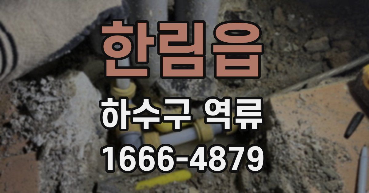 한림읍 하수구 역류