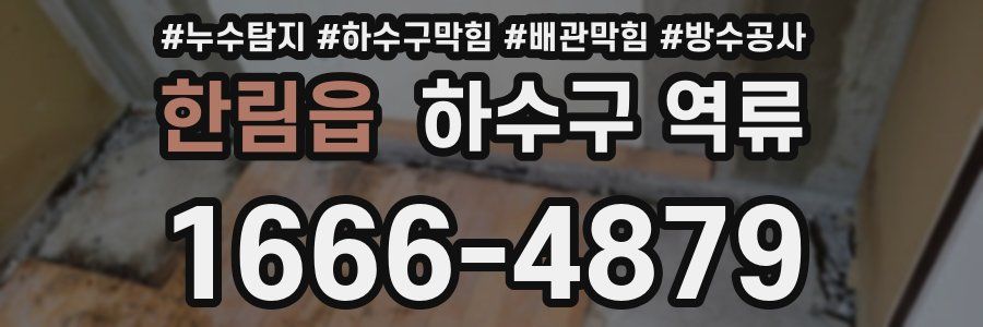 한림읍 하수구 역류