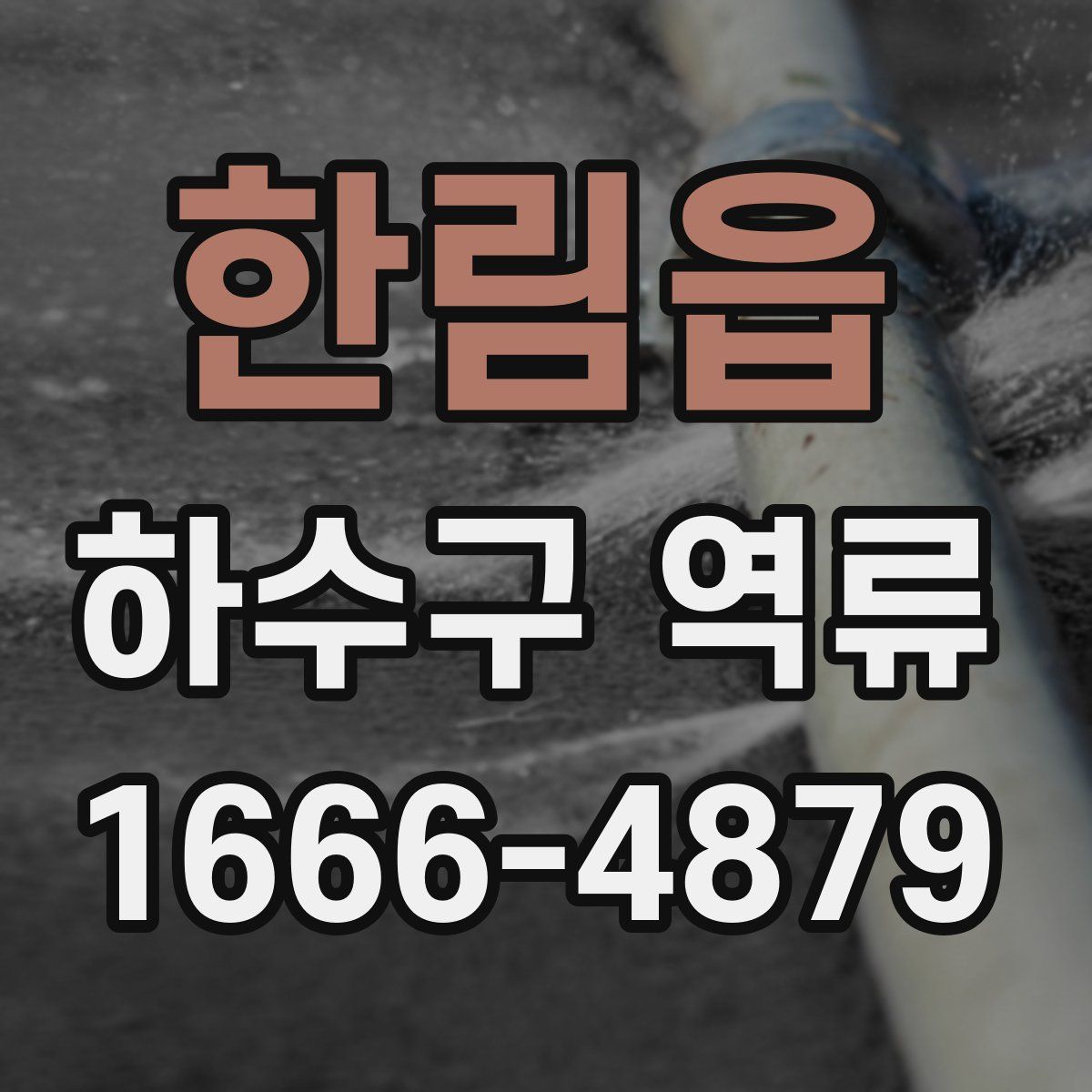 한림읍 하수구 역류