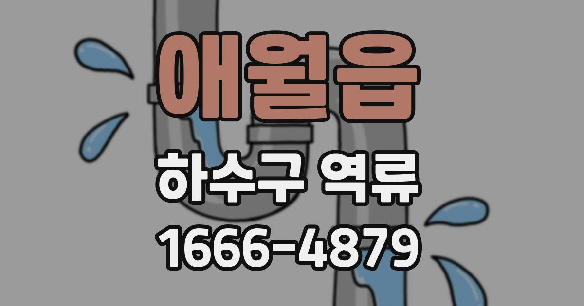 애월읍 하수구 역류
