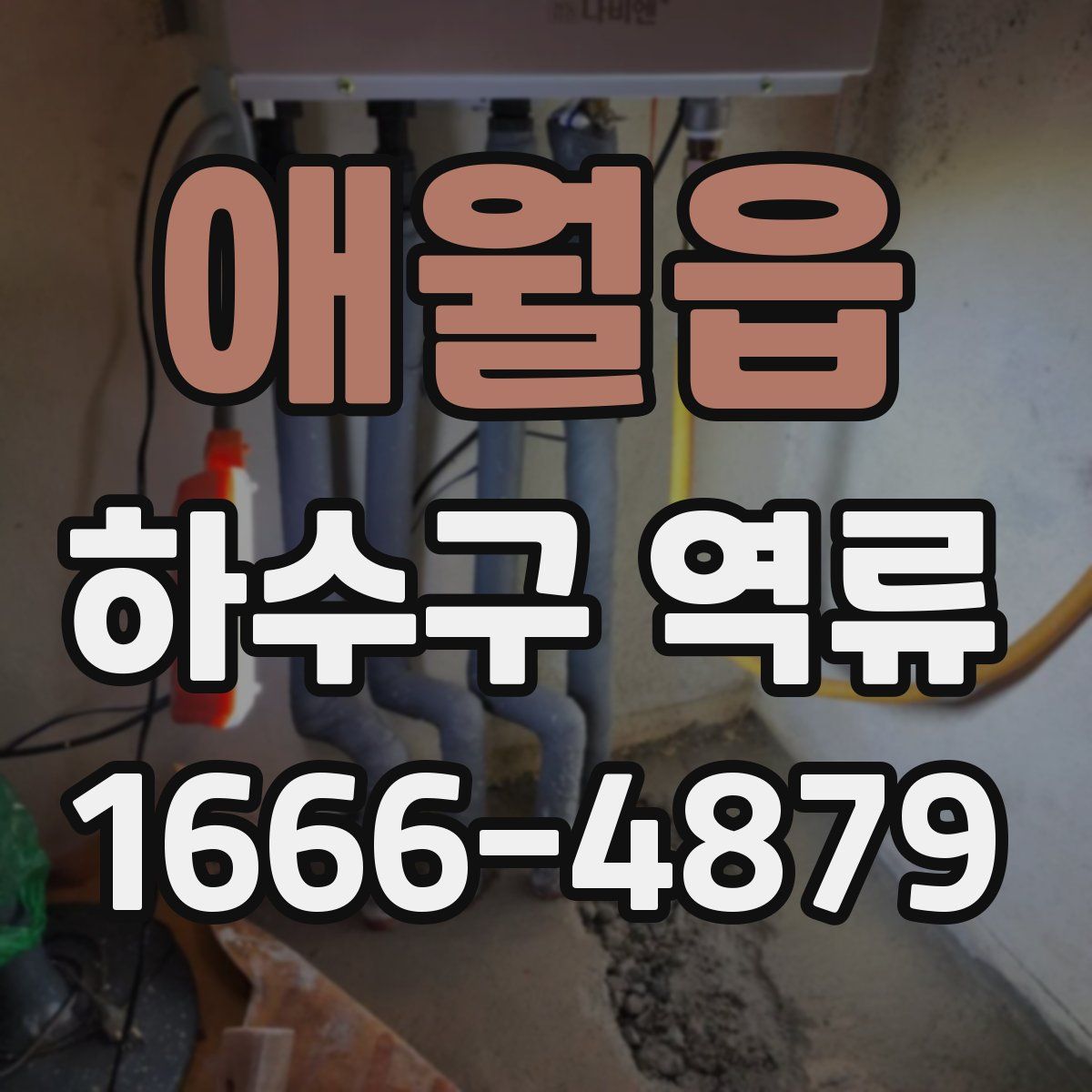 애월읍 하수구 역류