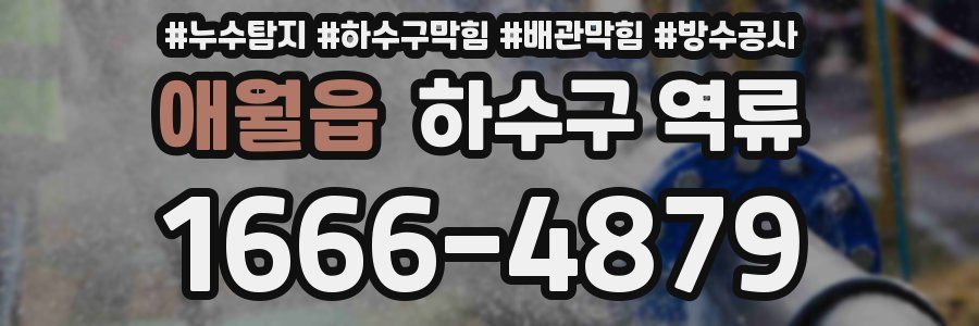 애월읍 하수구 역류