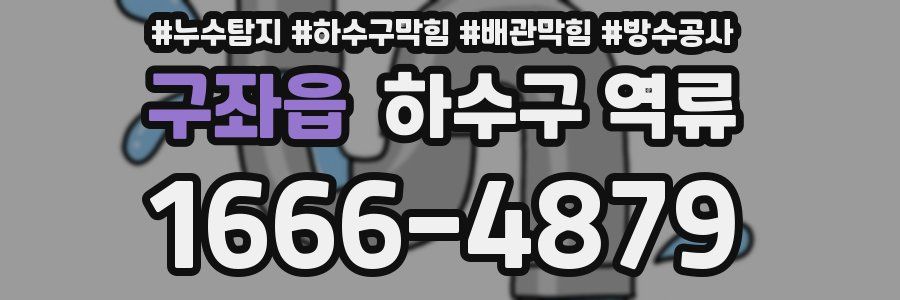 구좌읍 하수구 역류
