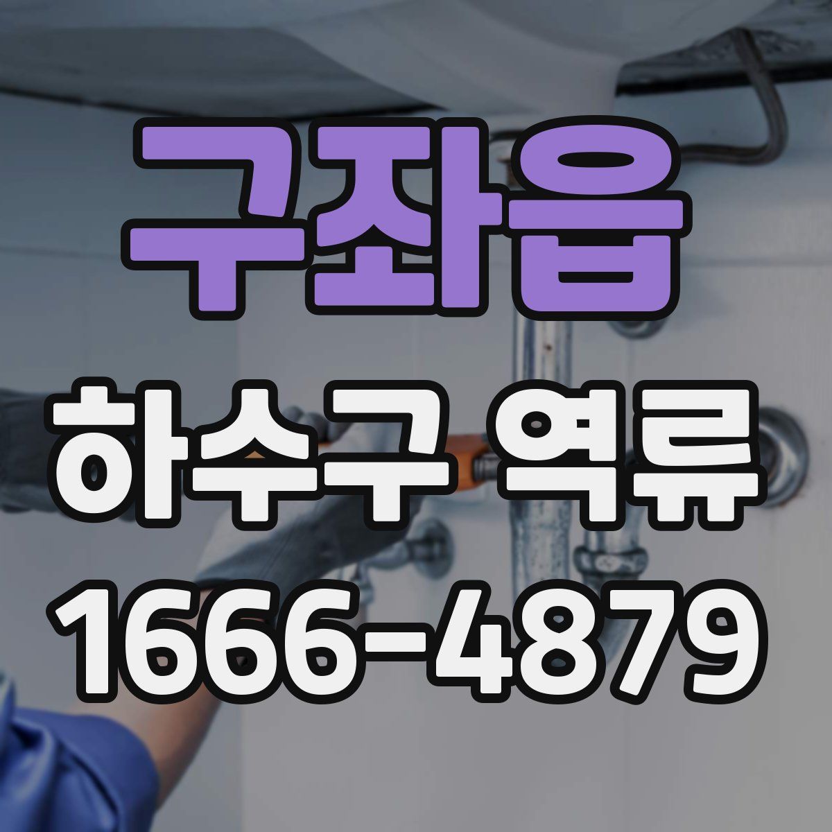 구좌읍 하수구 역류
