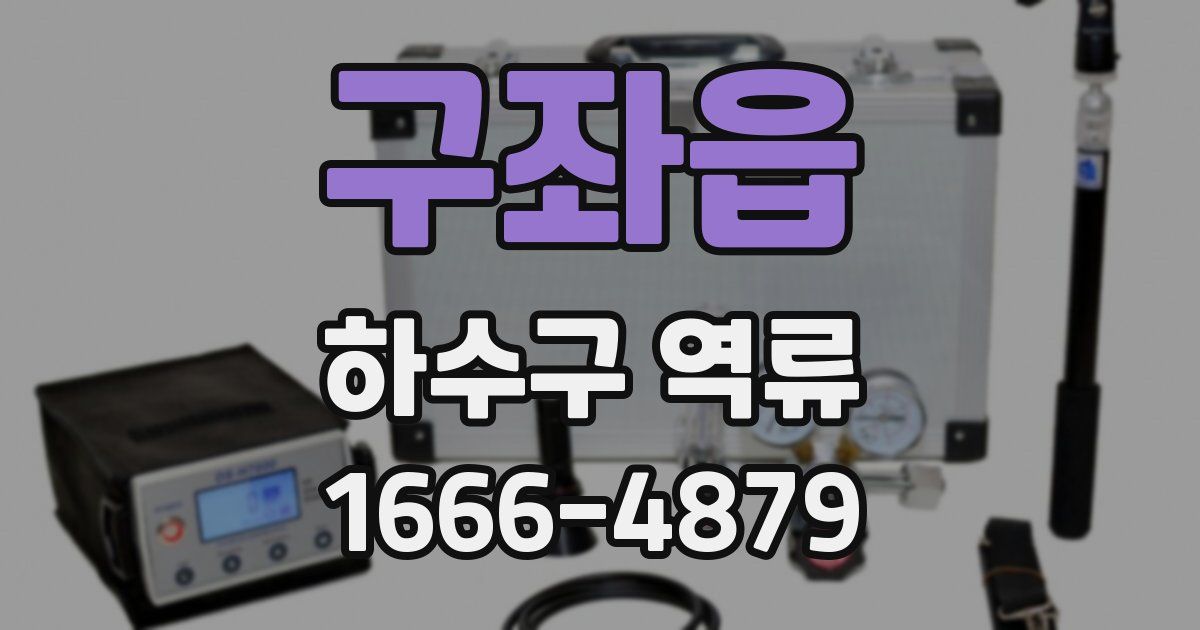 구좌읍 하수구 역류