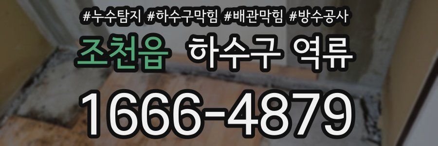 조천읍 하수구 역류