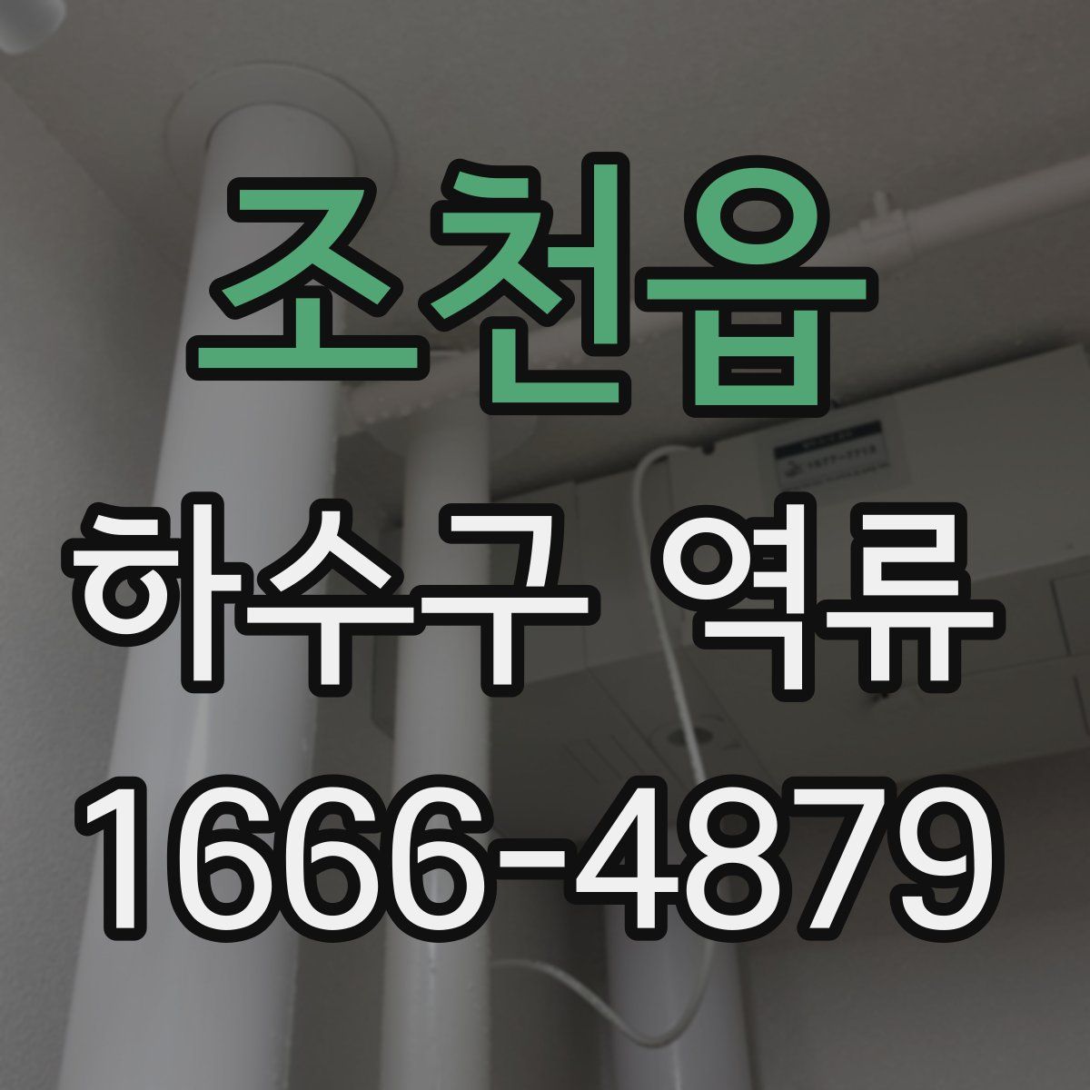 조천읍 하수구 역류