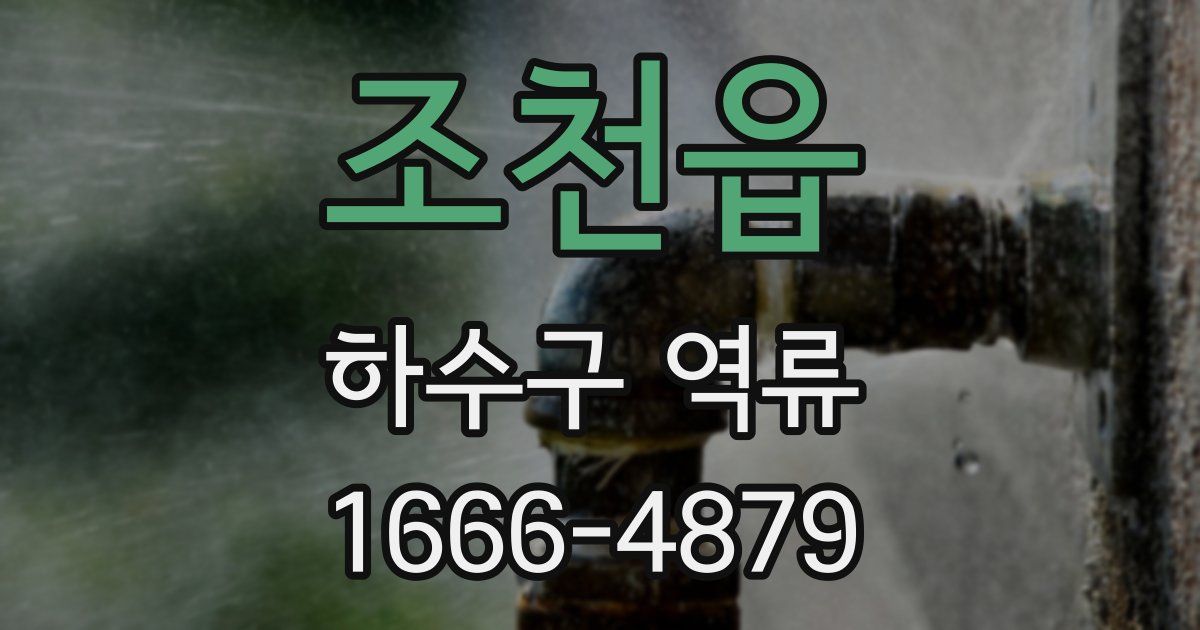 조천읍 하수구 역류