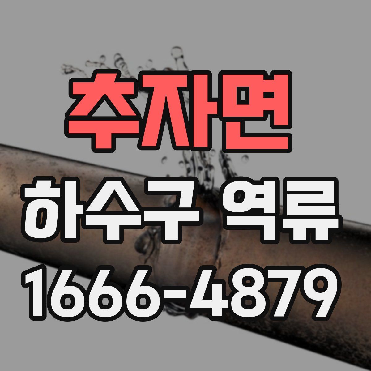 추자면 하수구 역류