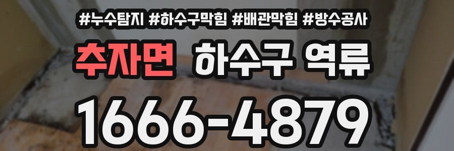 추자면 하수구 역류