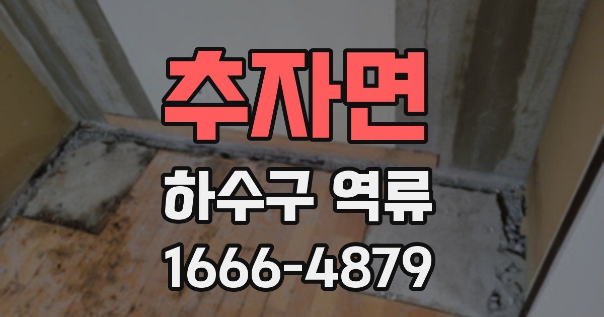 추자면 하수구 역류