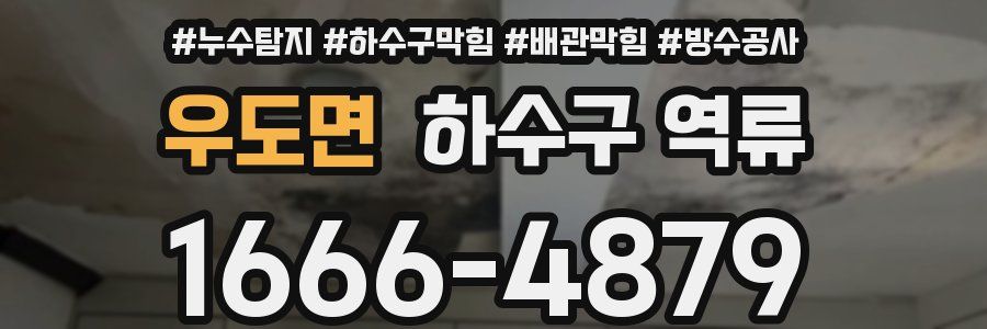우도면 하수구 역류