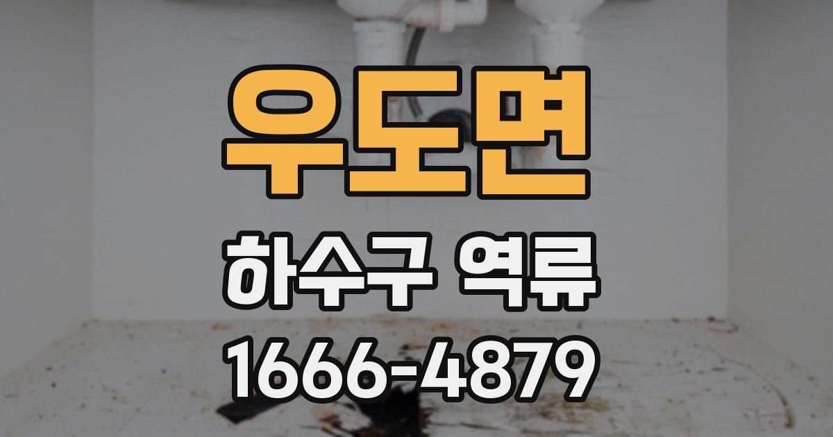 우도면 하수구 역류