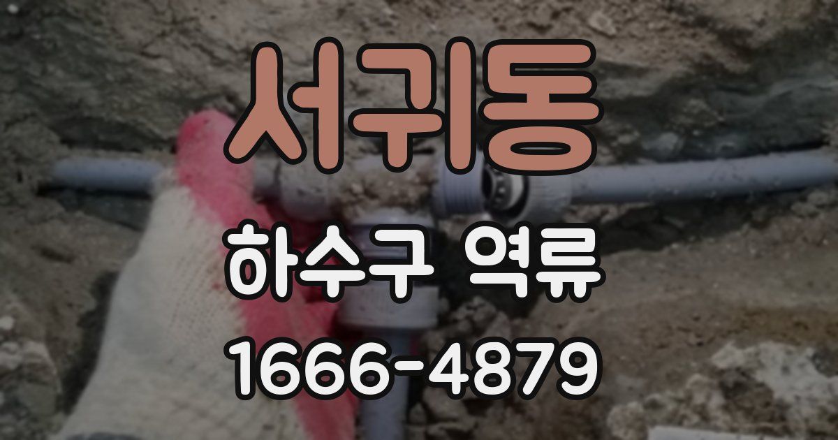 서귀동 하수구 역류