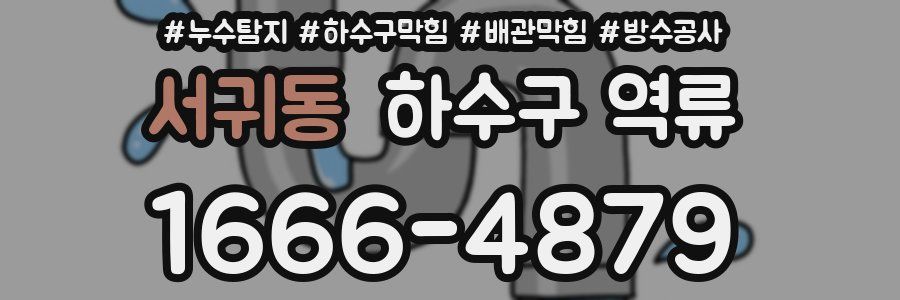 서귀동 하수구 역류